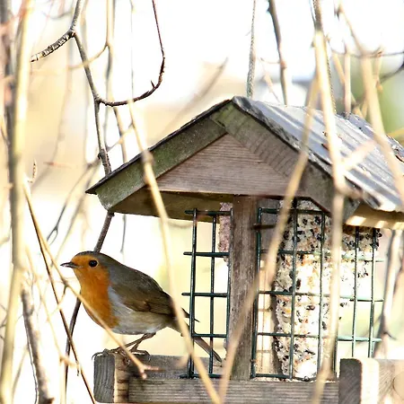 Rosustijn Bed & Breakfast